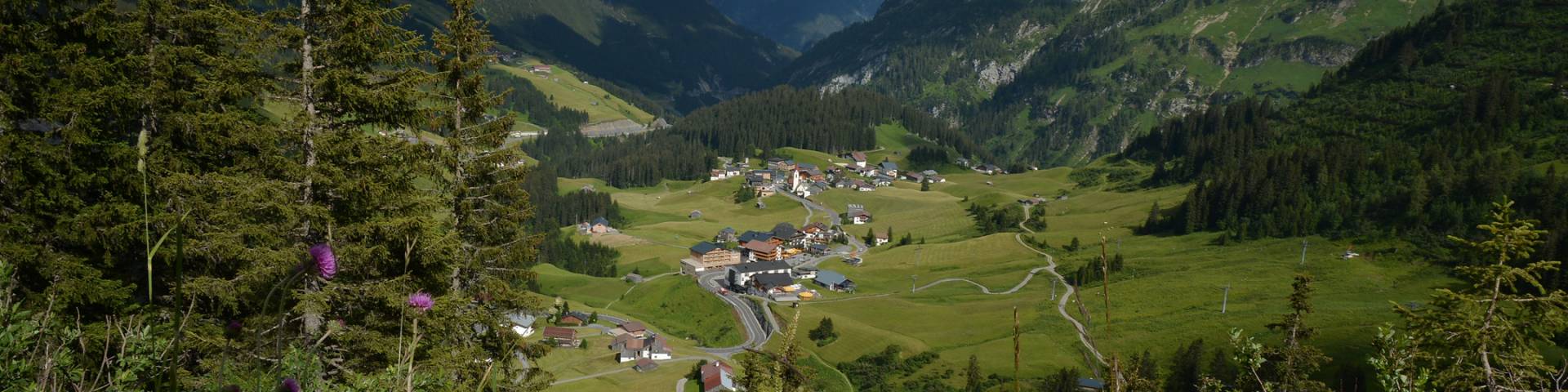 Wide mountain valley with scattered houses, forests, and gentle alpine meadows.