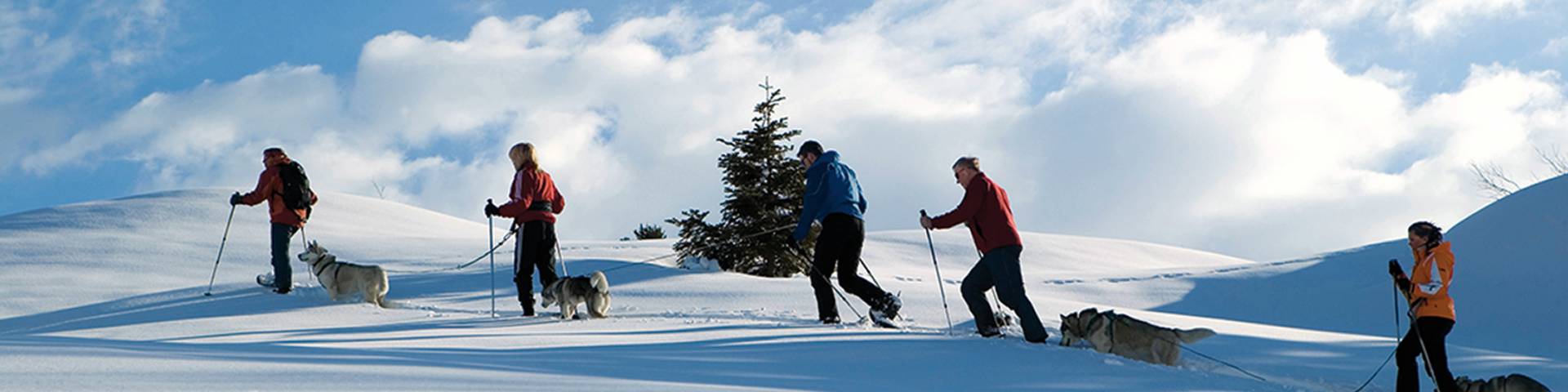 Winterwandern mit Hunden am Arlberg