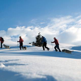 Frau in Aktion beim Skilanglauf in Warth