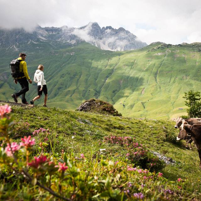 Wandern in den Bergen